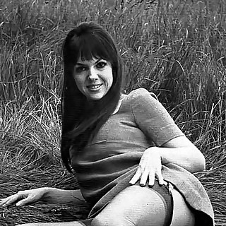 The Hottest Nude Secretaries Of The 1960's Including Nylons Hairy Pussies And Puffies