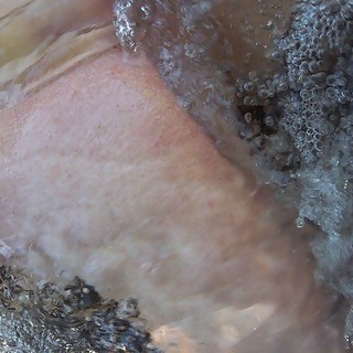 Hot Amateur Women Pussy Close-Up Collection on HomeMadeJunk.com Featuring Shaven & Naturally Hai
