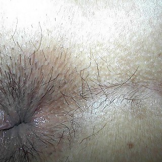 Hairy Amateur Cunts Being Fucked With No Remorse