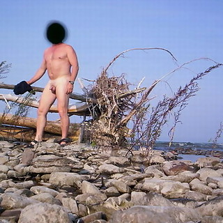 Candid Photos Of A Naked Beach Full Of Nude Naturists