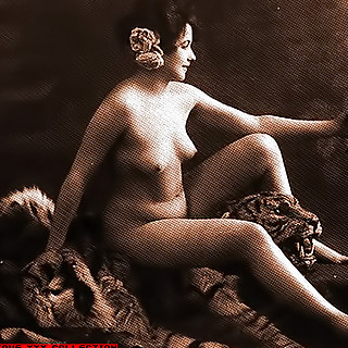 See the First Porn Photos Shot In 1850-1900 Featuring the Full Female Nudity and Antique Looking Boo